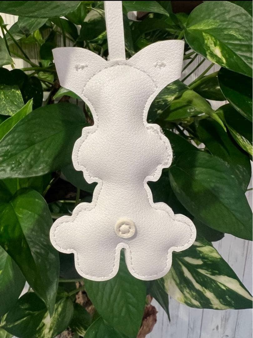 在庫処分 グレー 黒 ミニチュアシュナウザー2個セット 肉球2個付き