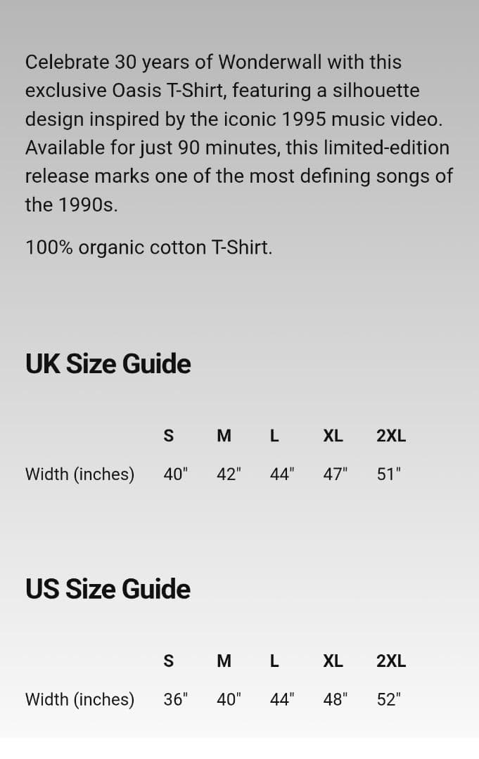 ヒ*ロ様 Wonderwall Silhouette T-shirt サイズ X