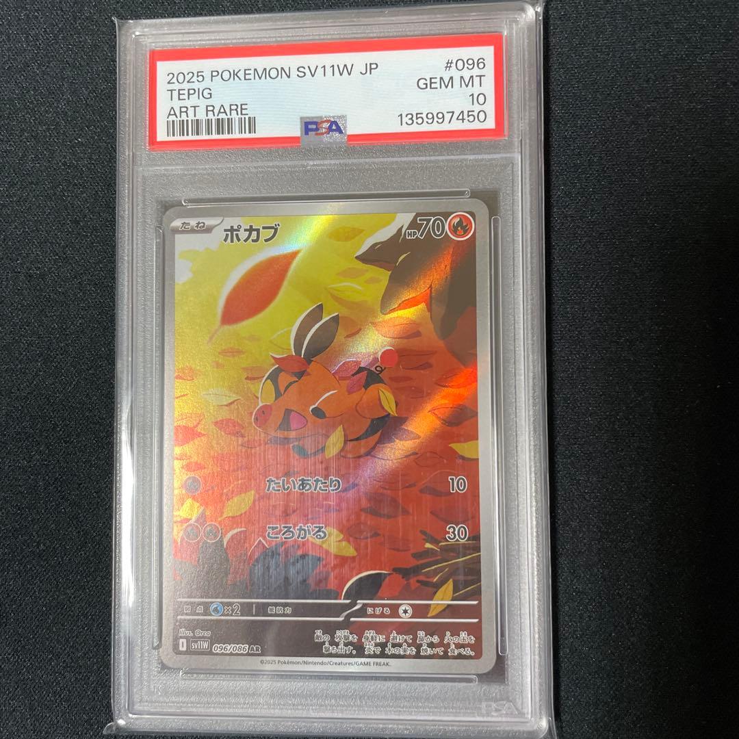 PSA10】ポカブ AR