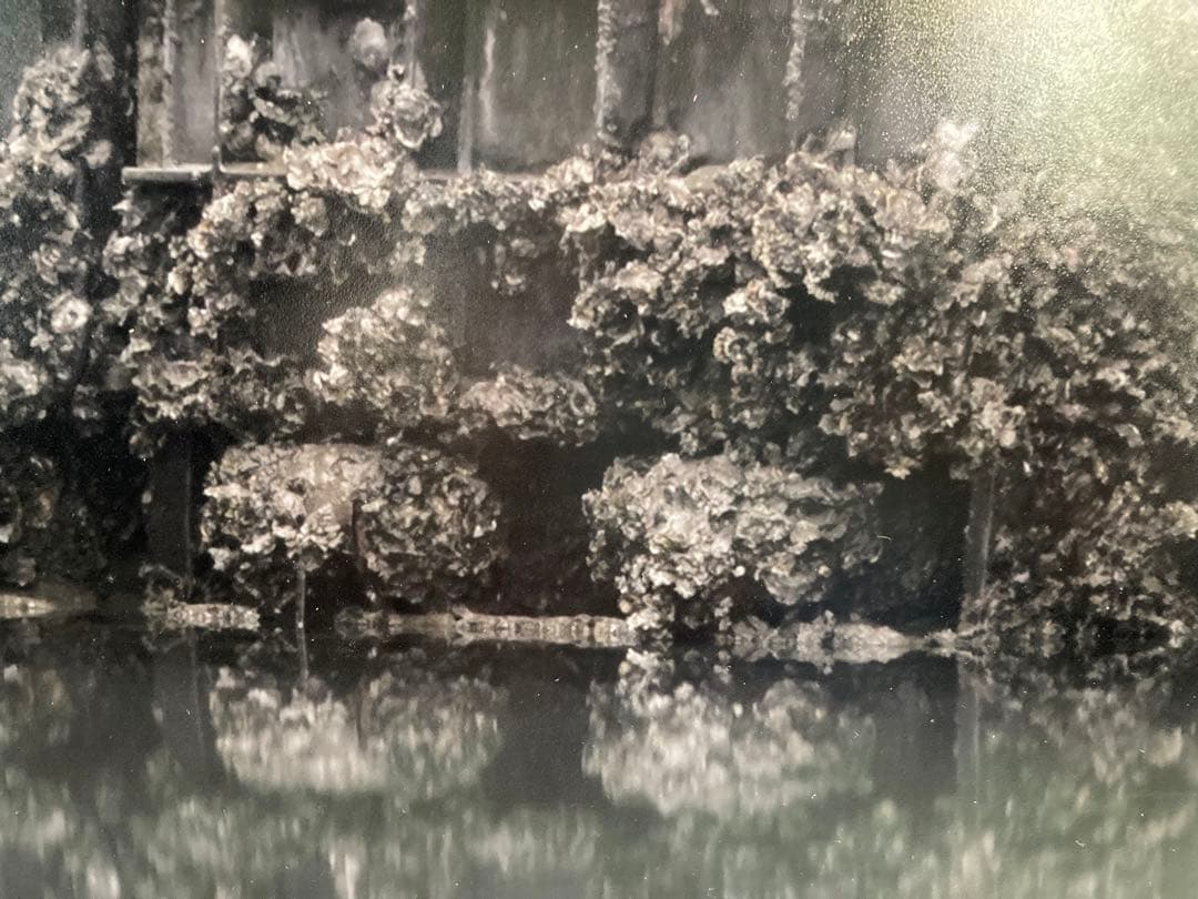 写真作品「落潮」