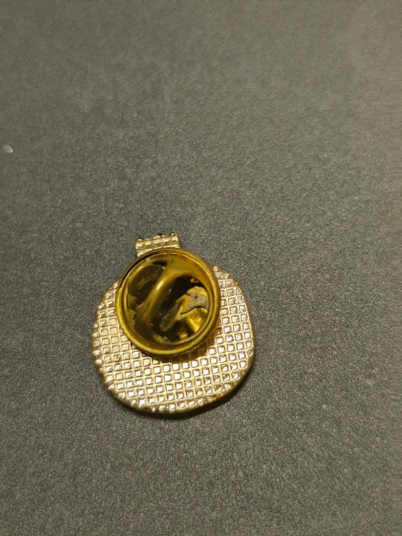 万博 貴重 レア☆*。 アルメニア ピンバッジ