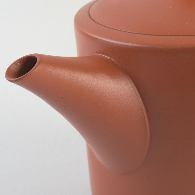 煎茶道具 常滑焼 朱泥 漢詩竹刻 横手急須 V 9580