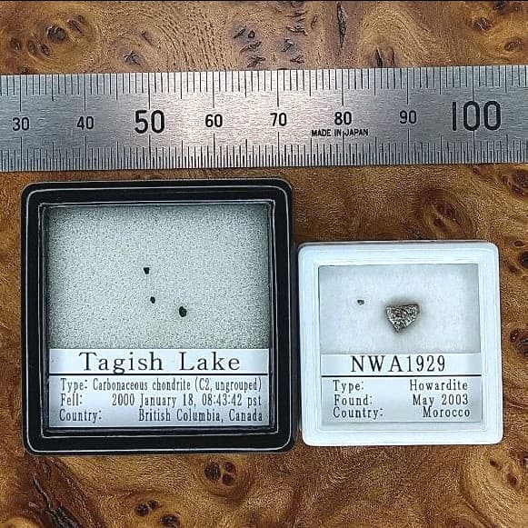 入手不可！小惑星のかけら K-T境界層（K/Pg境界）標本