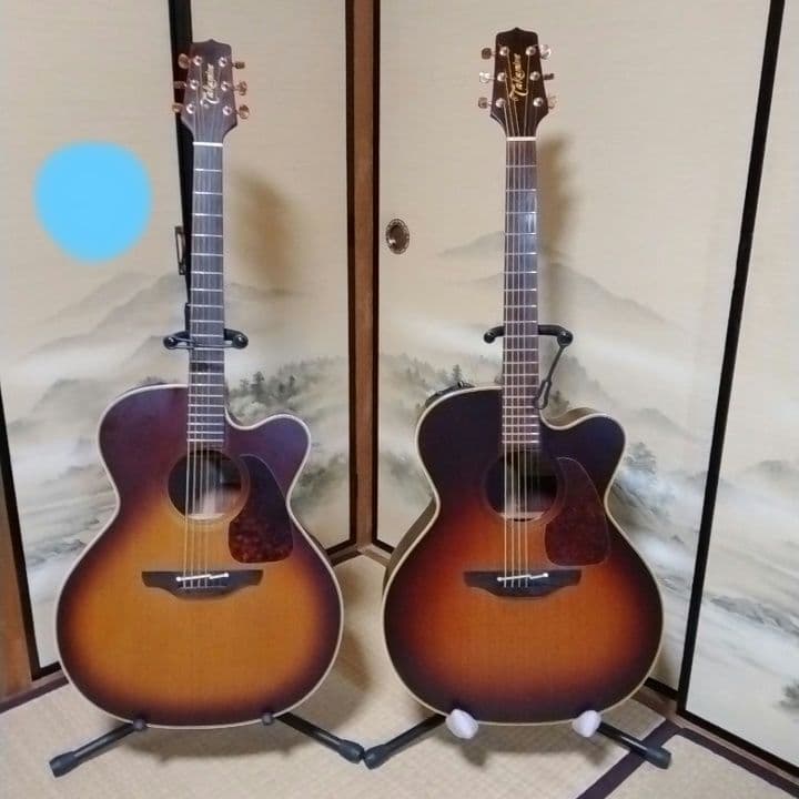 タカミネ エレアコ NPT-012 BS 赤プリ 長渕剛