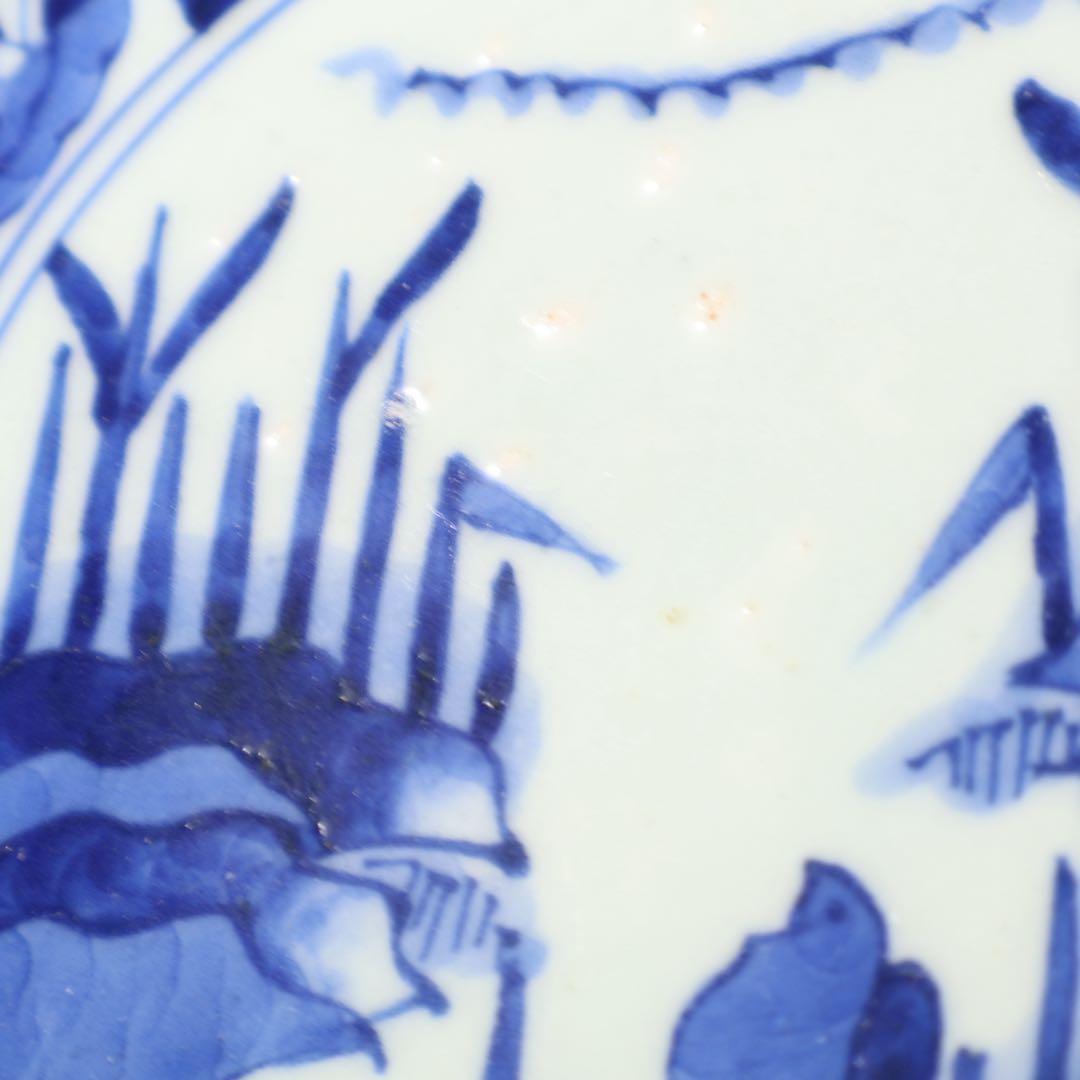 伊万里染付花鳥図七寸皿　∅21㎝　骨董　古伊万里　R0027w3B3