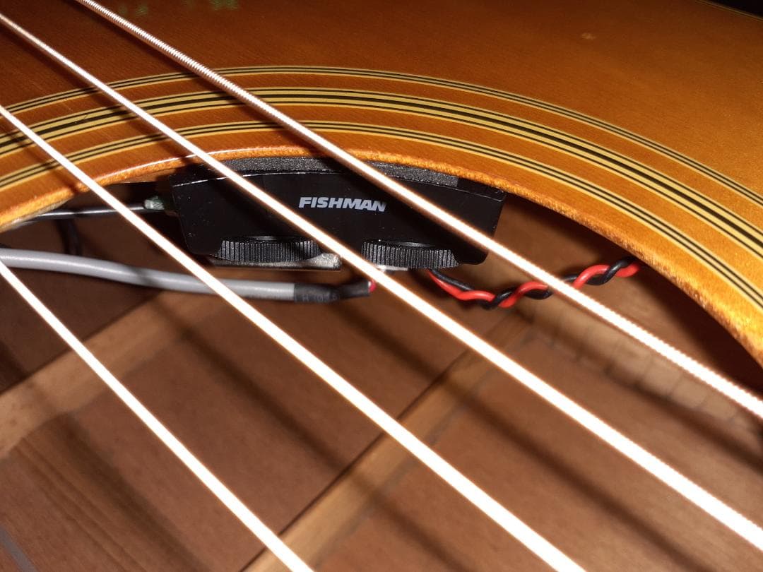 格安出品 Epiphone PR350 FISHMAN PU装着 エレアコ仕様 - メルカリ