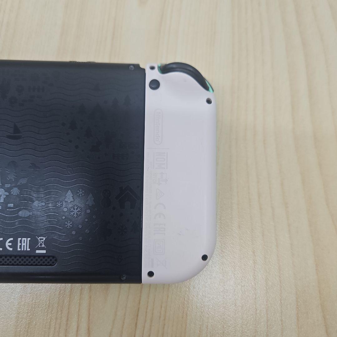 Nintendo Switch ニンテンドースイッチ あつまれどうぶつの森