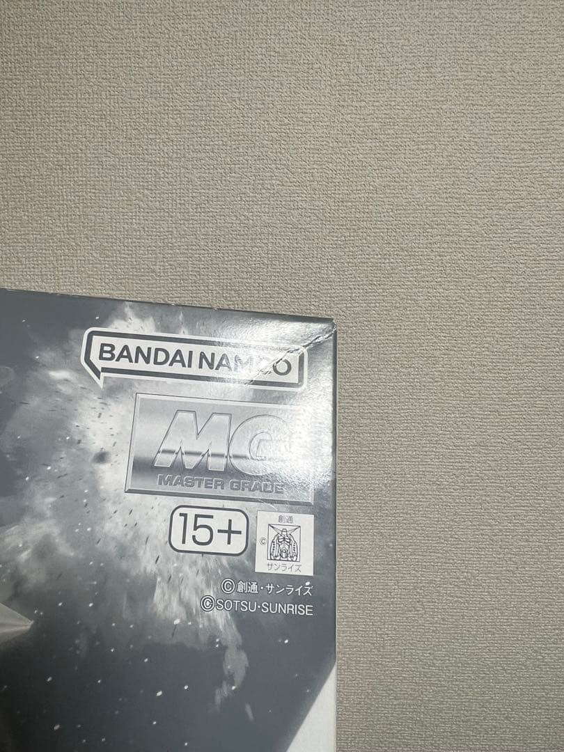 MG 1/100 シンマツナガ専用ザクII(カスタムタイプ)