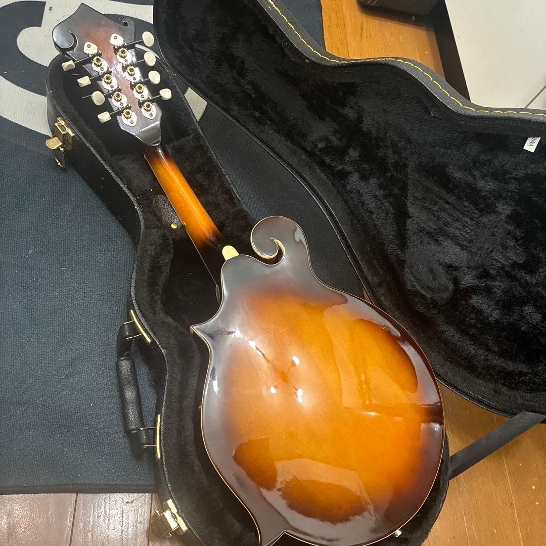 Savannah フラットマンドリン　ハードケース付き