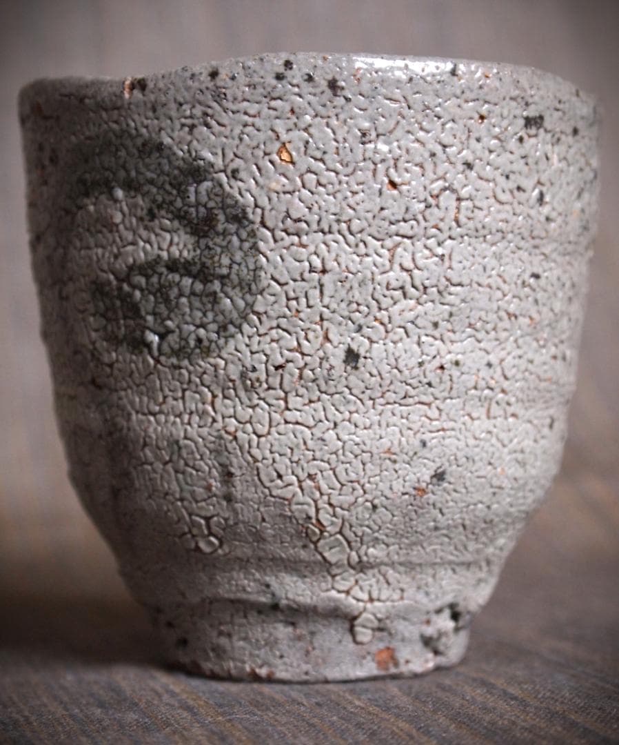 希少作★中川自然坊★絵唐津【窯変】焼酎杯★☆共箱・栞