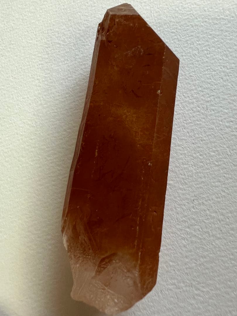 ゴールデンヒーラー(セーラデカブラル産)ゲート／スターゲートキー