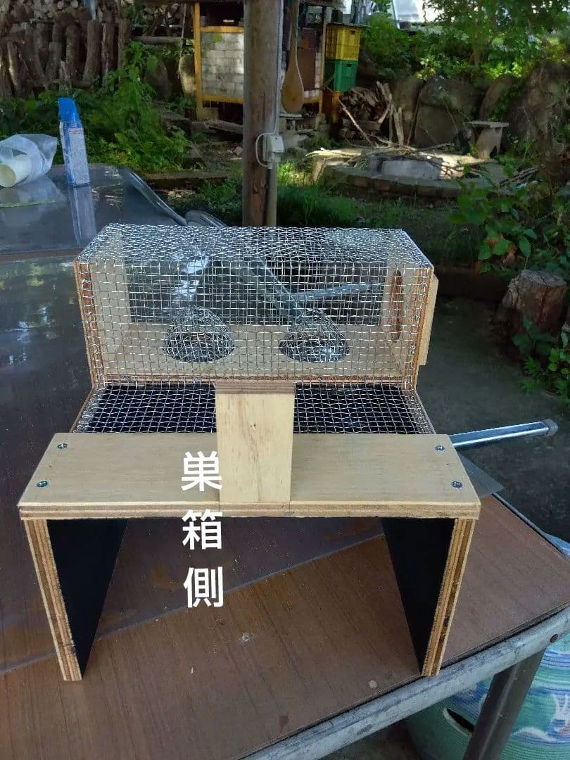 スズメバチ捕獲器 3個売り スズメバチキャッチ スズメバチ捕獲器 3個