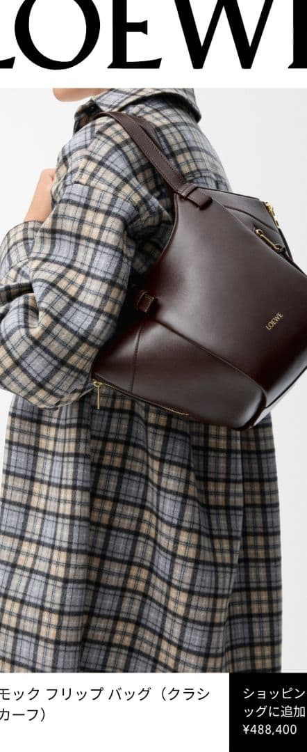 LOEWE ハンモックフリップバッグ