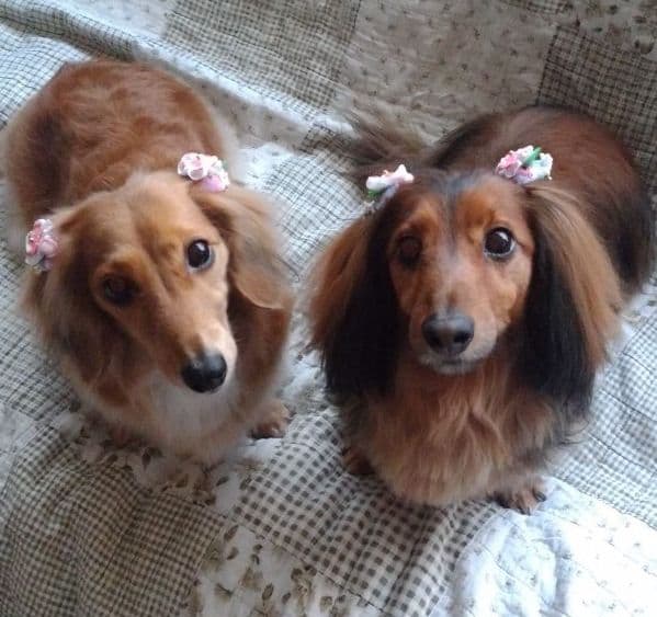 みるく様　画像確認用 もずく様 確認用画像 もずく様 確認用画像 2025整備解説書 | Ninja