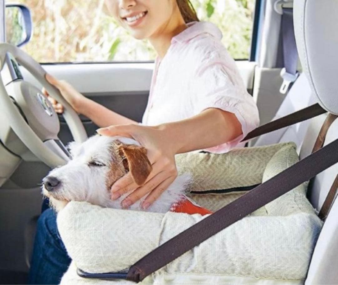 ペピィPEPPY ソファボックス（車窓乗り出し防止ドライブボックス