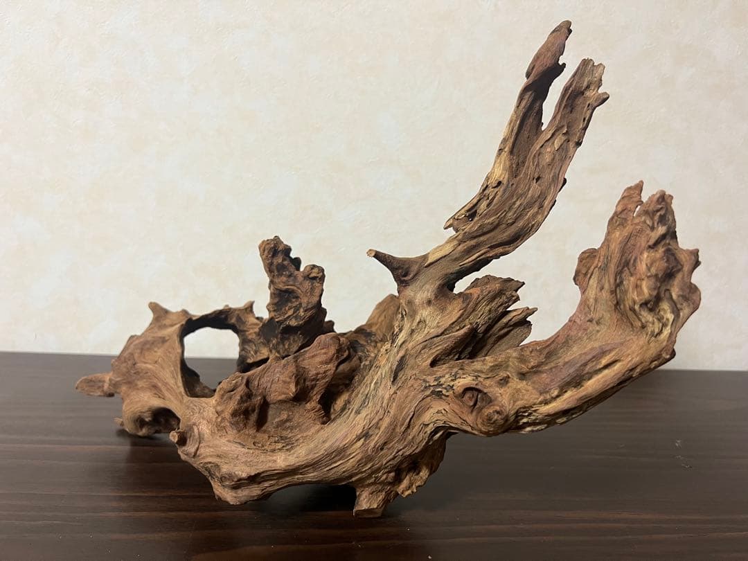 HX-003 流木 ホーンウッド マシンガンウッド アクアリウム ブランチウッド