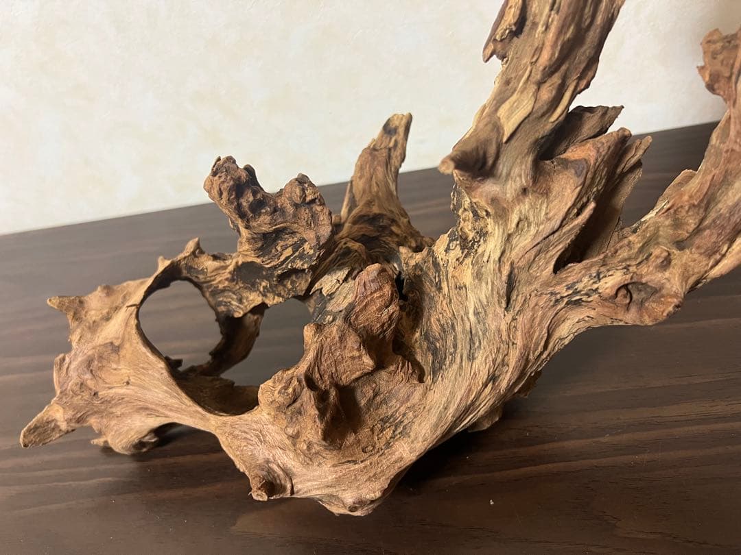 HX-003 流木 ホーンウッド マシンガンウッド アクアリウム ブランチウッド