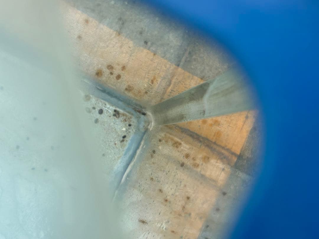 ガラス水槽 サイズ: 750×450×400＝129ℓ