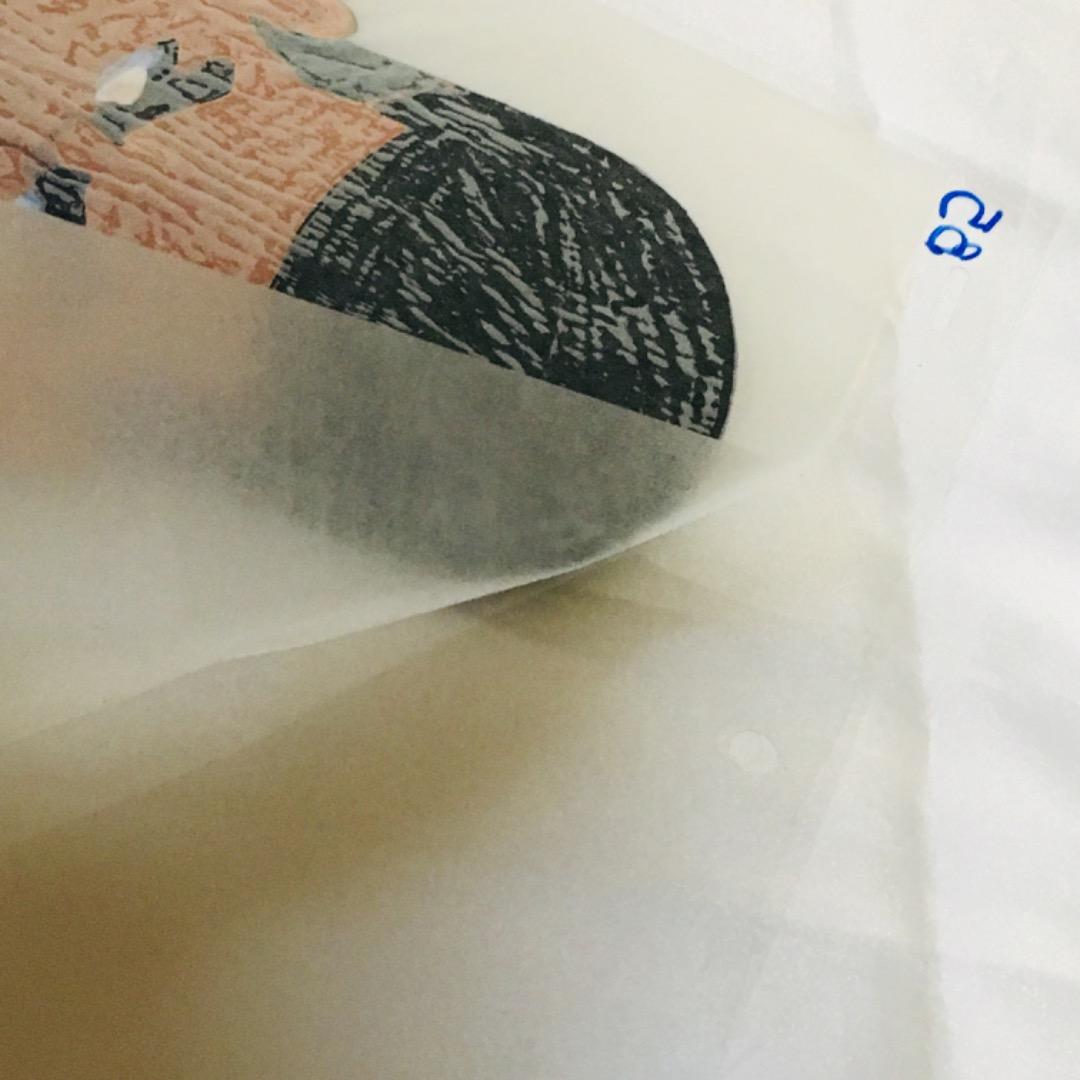 作画記録、撮影指定用紙有 セル画 スラムダンク 赤木（ゴリ） 桜木花道 セット