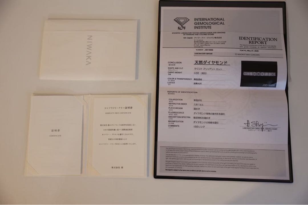 【NIWAKA 俄】久遠 KUON ハーフエタニティリング Pt950