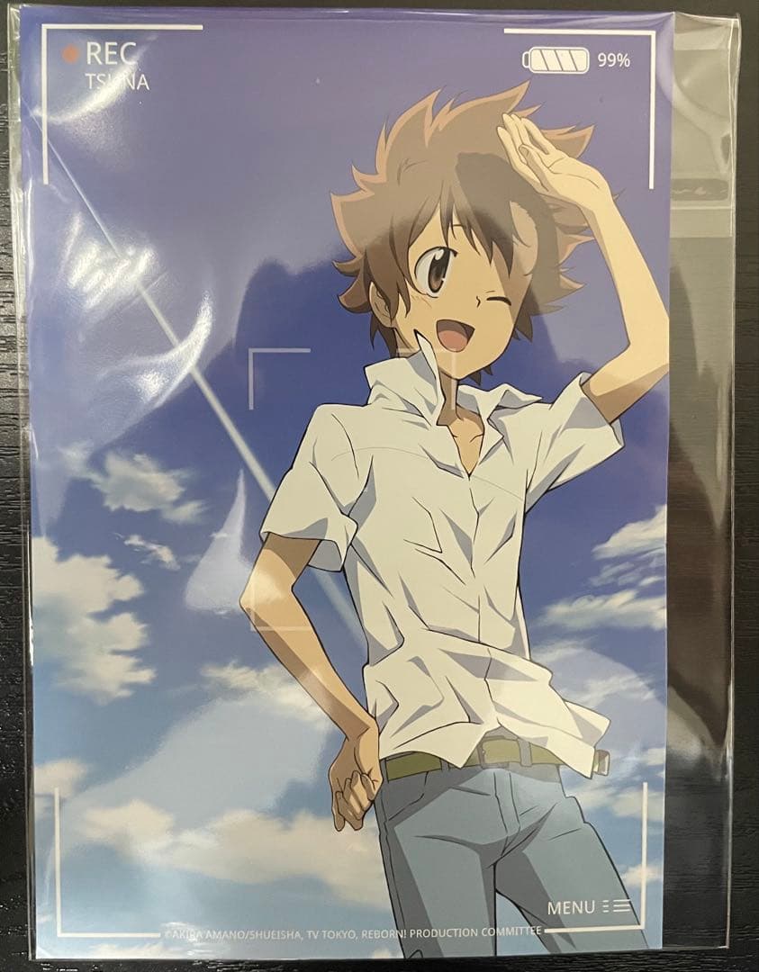 家庭教師ヒットマンREBORN！ 沢田綱吉 ポストカード - メルカリ