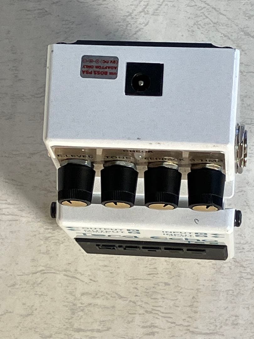 あの・寺内節の必需品テラ・エコーたまらない残響音をお楽しみに