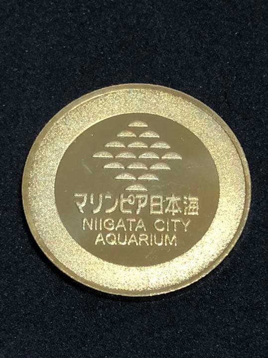 水族館4☆新潟☆マリンピア日本海9☆ペンギン☆記念メダル☆茶