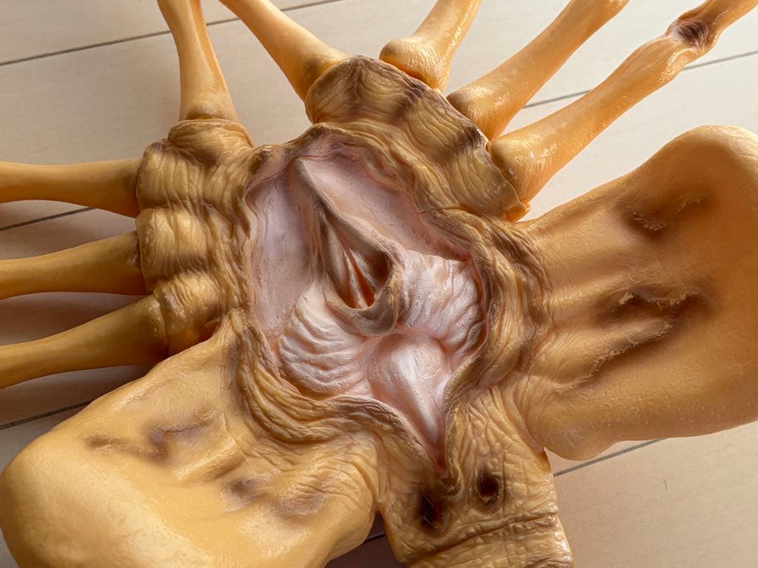 ALIEN/フェイスハガー/フィギュア/エイリアン/原寸/ソフビ/アオシマ/箱付