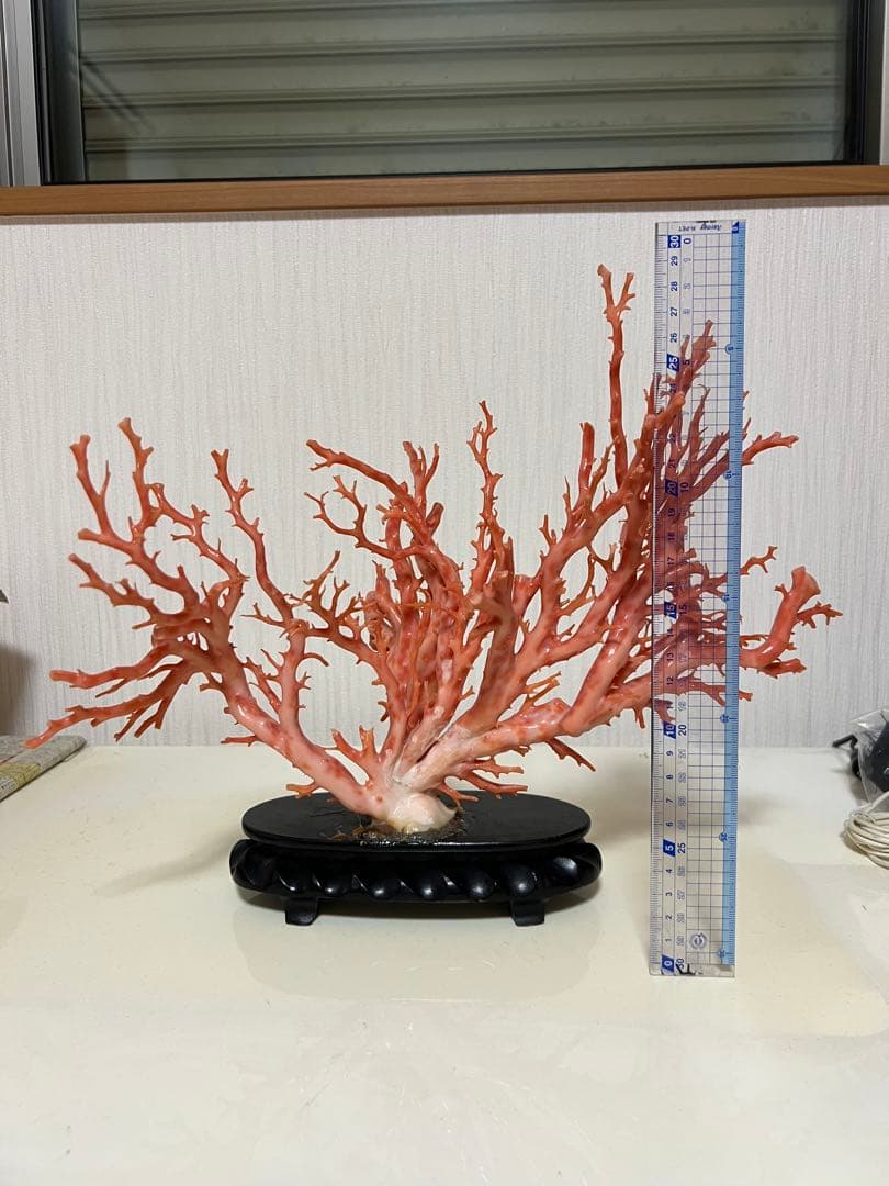 楽天市場】【豪華】桃珊瑚の原木・拝見・置物 黒檀台 置き物 飾り