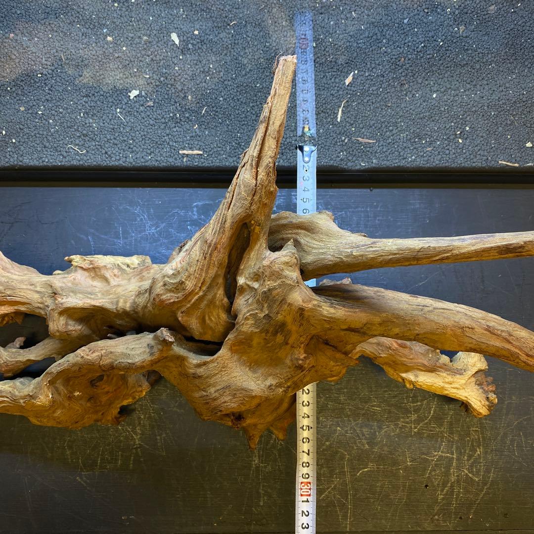 MRW-6371 特大流木 1点物自立 90cm水槽用 アクアリウム 爬虫類