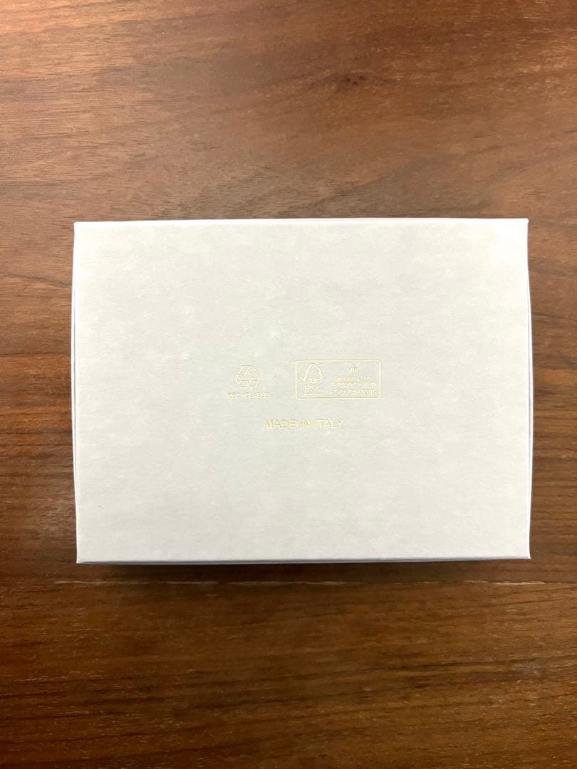 価格交渉可 未使用 JIMMY CHOO マルチカラースタッズ付き ケース