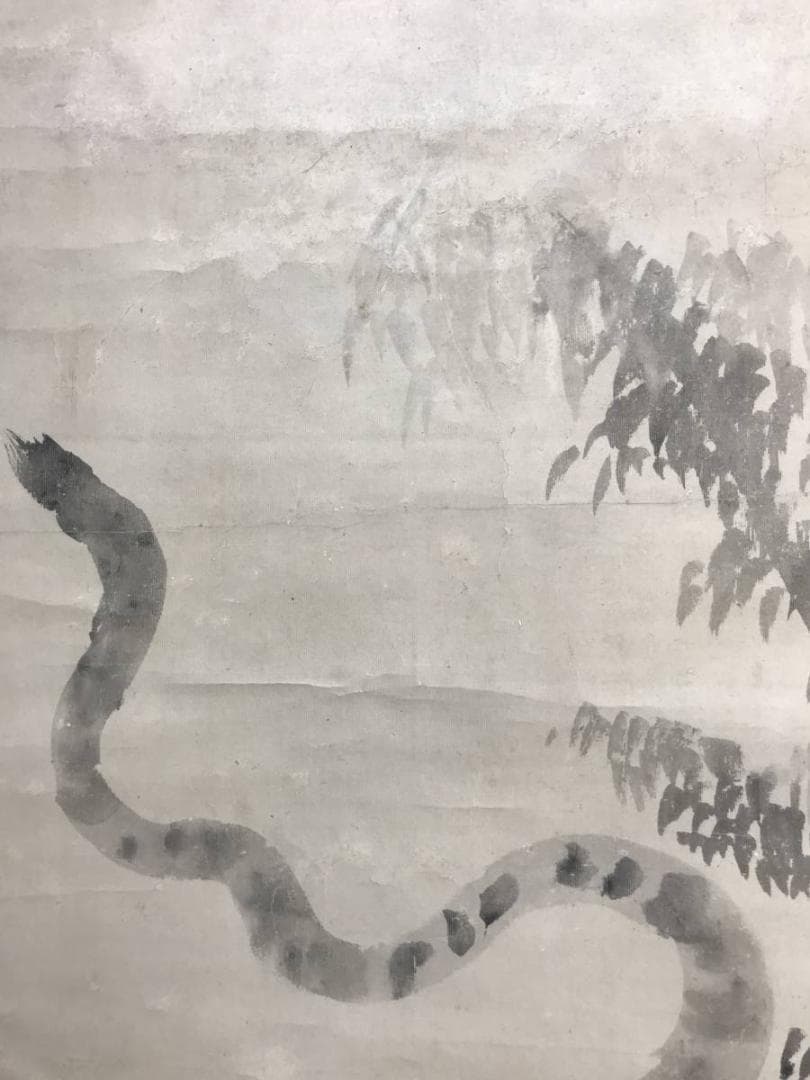 真作】佐伯岸駒/一学蘭斎/岸雅楽介/猛虎図/虎図/