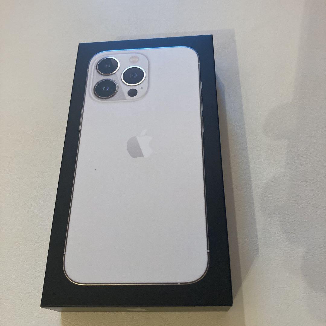 長期保管未使用】ドイツ製 LEUCHTTURM 切手ストックブック2冊