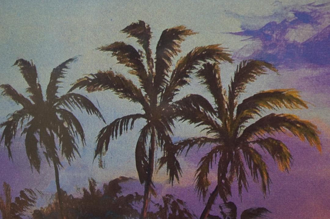 286/350 ウィリアムデシャゾー ハワイアンサンセット 大判シルク