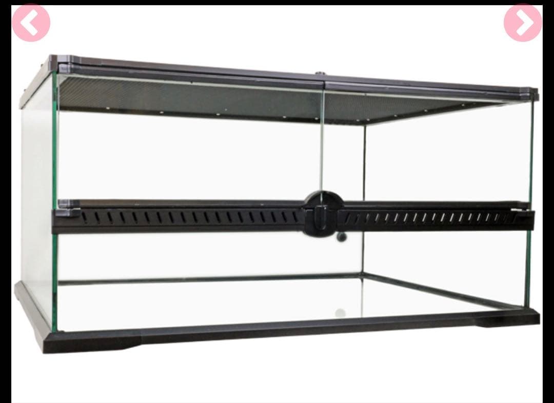 タロー様専用出品 新品未使用！未開封！レインフォレストタンク L