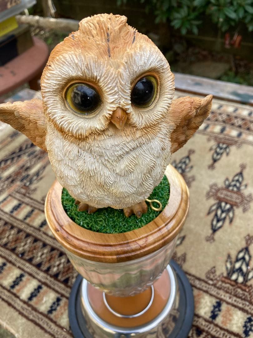 極3 小型猛禽パーチ、ファルコンブロック（透明ガラス） 2025年最新