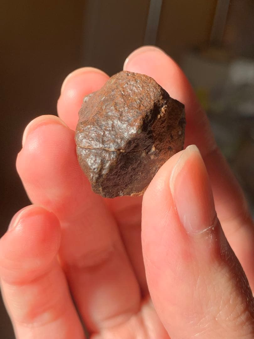 世界最古の石 46億年前の隕石コンドライト 太陽系最古