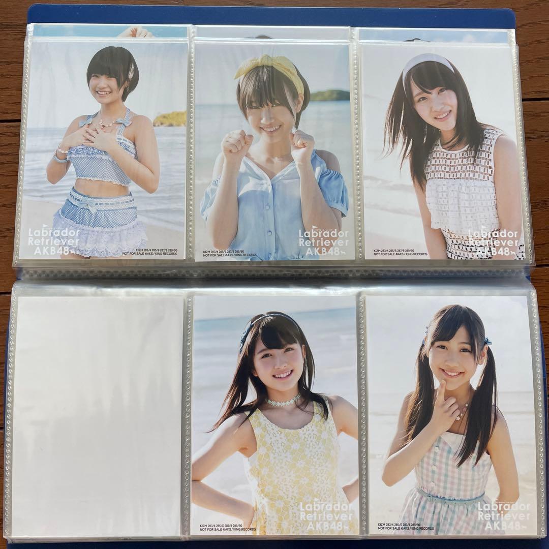 AKB ラブラドールレトリバー 通常 生写真