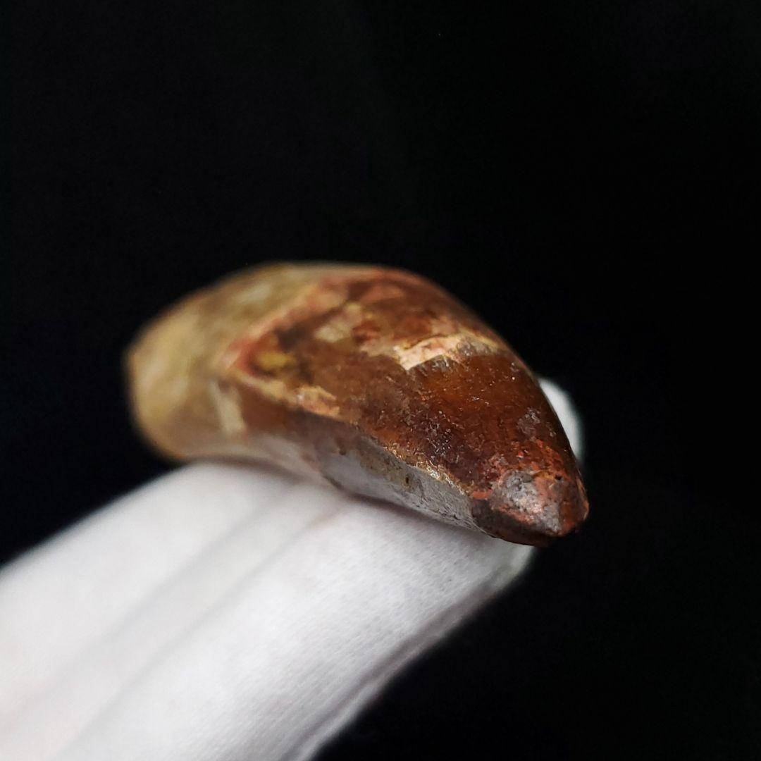 極上 スピノサウルス 本物 モロッコ産 85.33mm  sp432