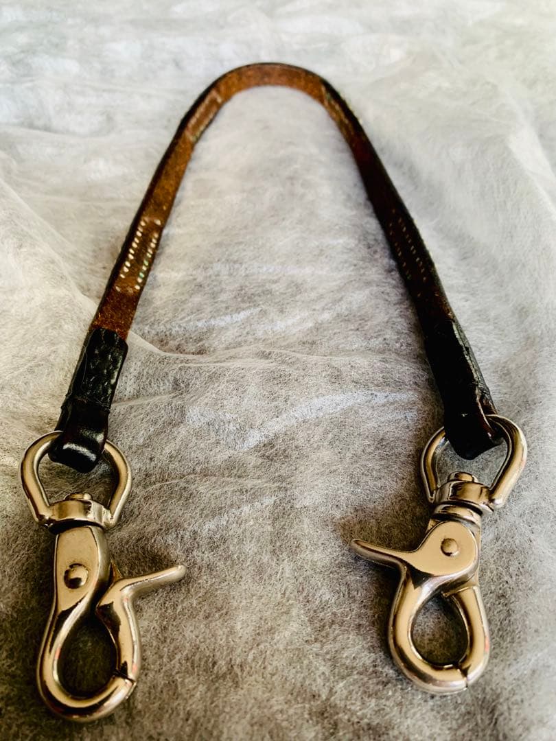 WOLF'S HEAD　ウルフズヘッド