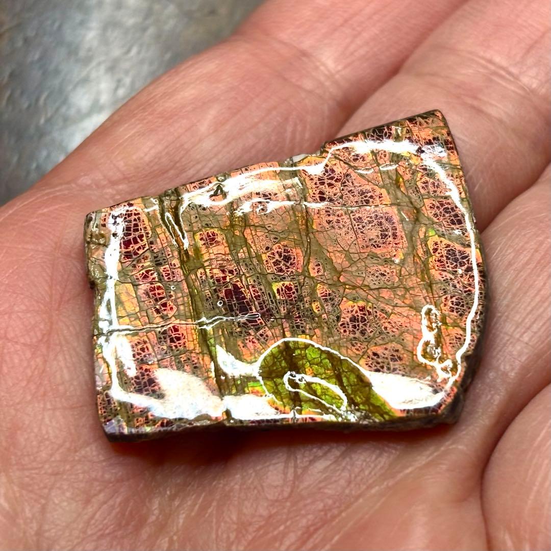 カナダ産 アンモライト 樹脂スタビライズ加工 天然宝石 化石 標本 両面