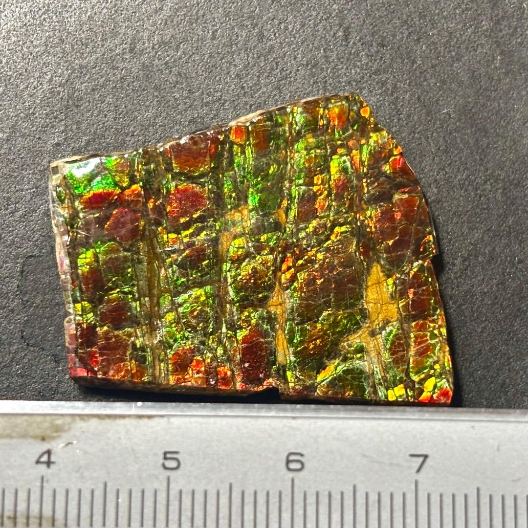 カナダ産 アンモライト 樹脂スタビライズ加工 天然宝石 化石 標本 両面