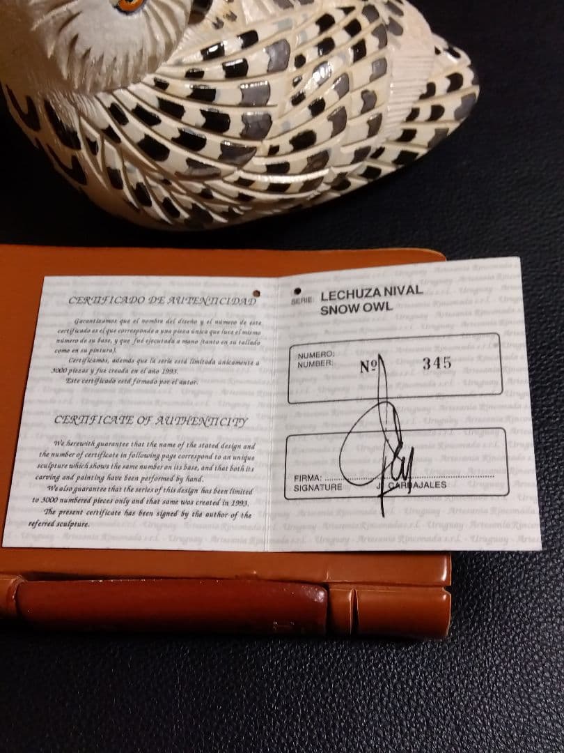 アーテサニアリンコナダ　白フクロウ　置物　ウルグアイ　陶器