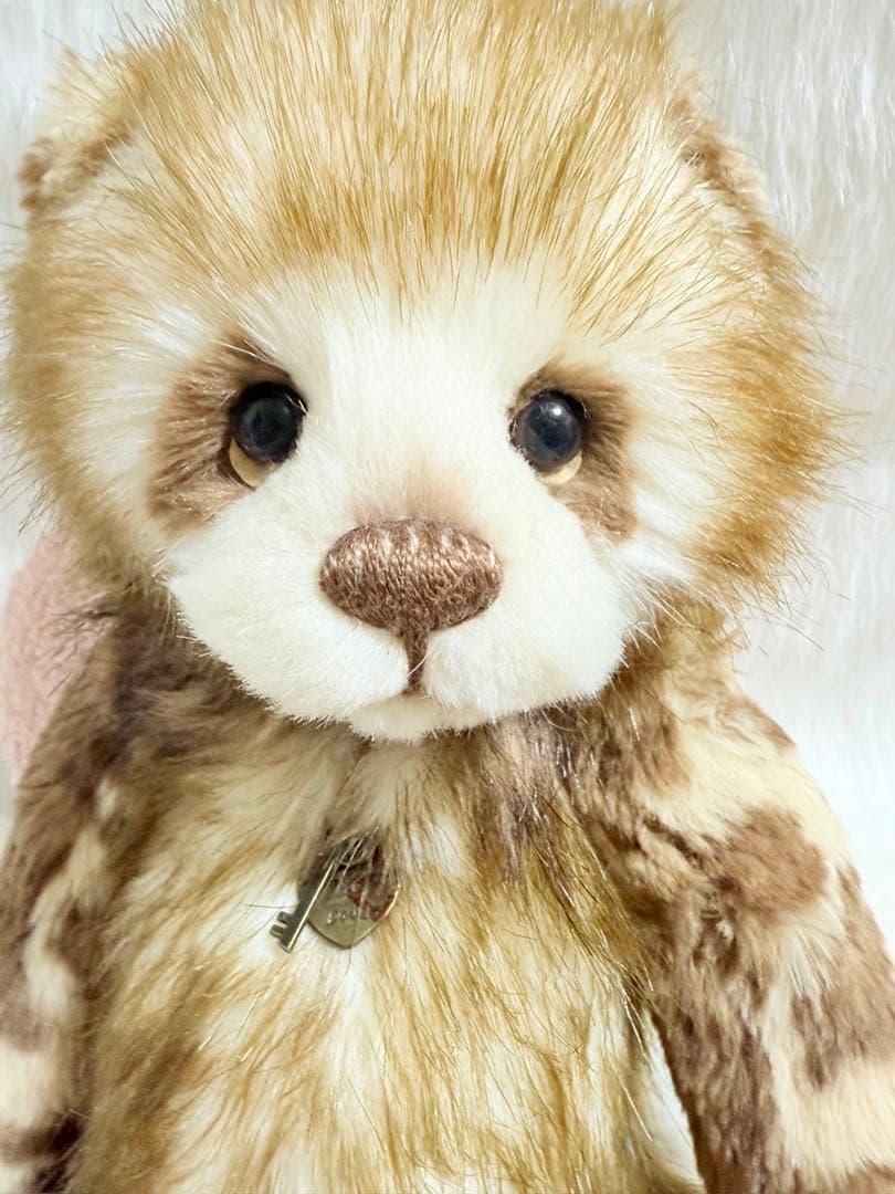 ☆チャーリーベアーズ☆Tegan☆美品♪