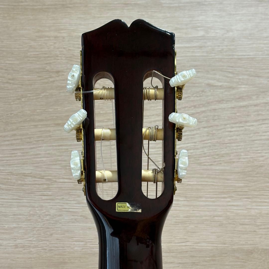 エレガットギター ギター」の人気商品一覧 | 安い商品を通販サイトから