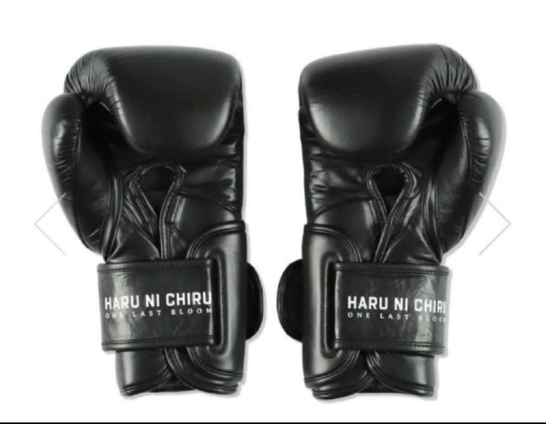 春に散る X WDS X EVERLAST BOXING GLOVE 10oz