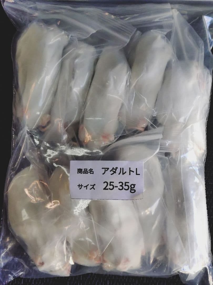 Kira☆天然石赤字処分中様専用 1104545