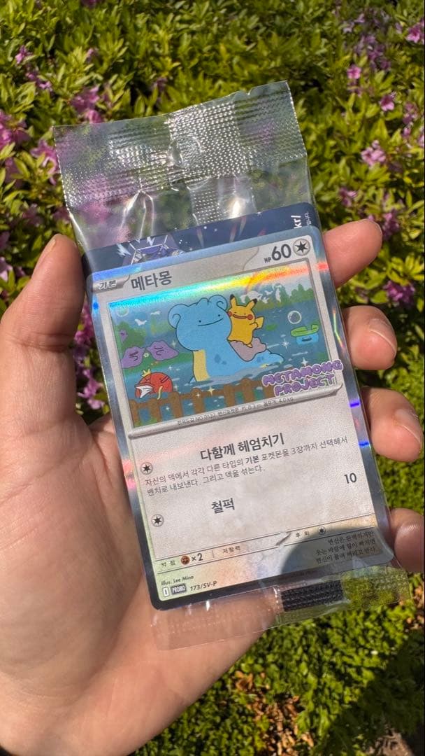 韓国限定 メタモン 新品 未開封 プロモ ポケモンカード2025年