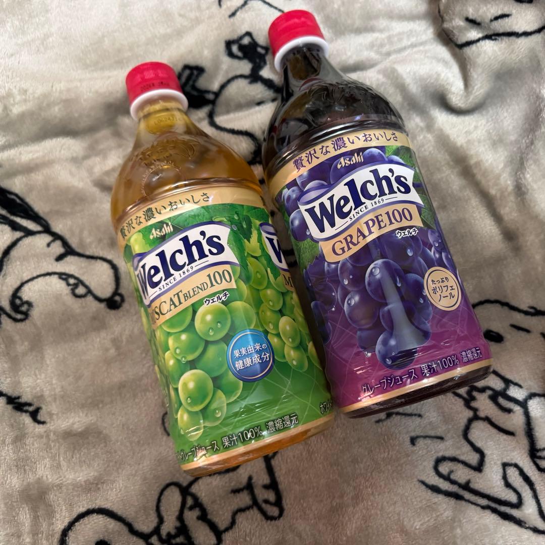 選べるWelch’s（ウェルチ）果汁100%ジュース 800g × 28本セット