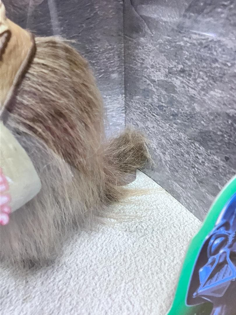 未開封 スターウォーズ『バンサ&タスケン・レイダー』DXクリーチャーフィギュア